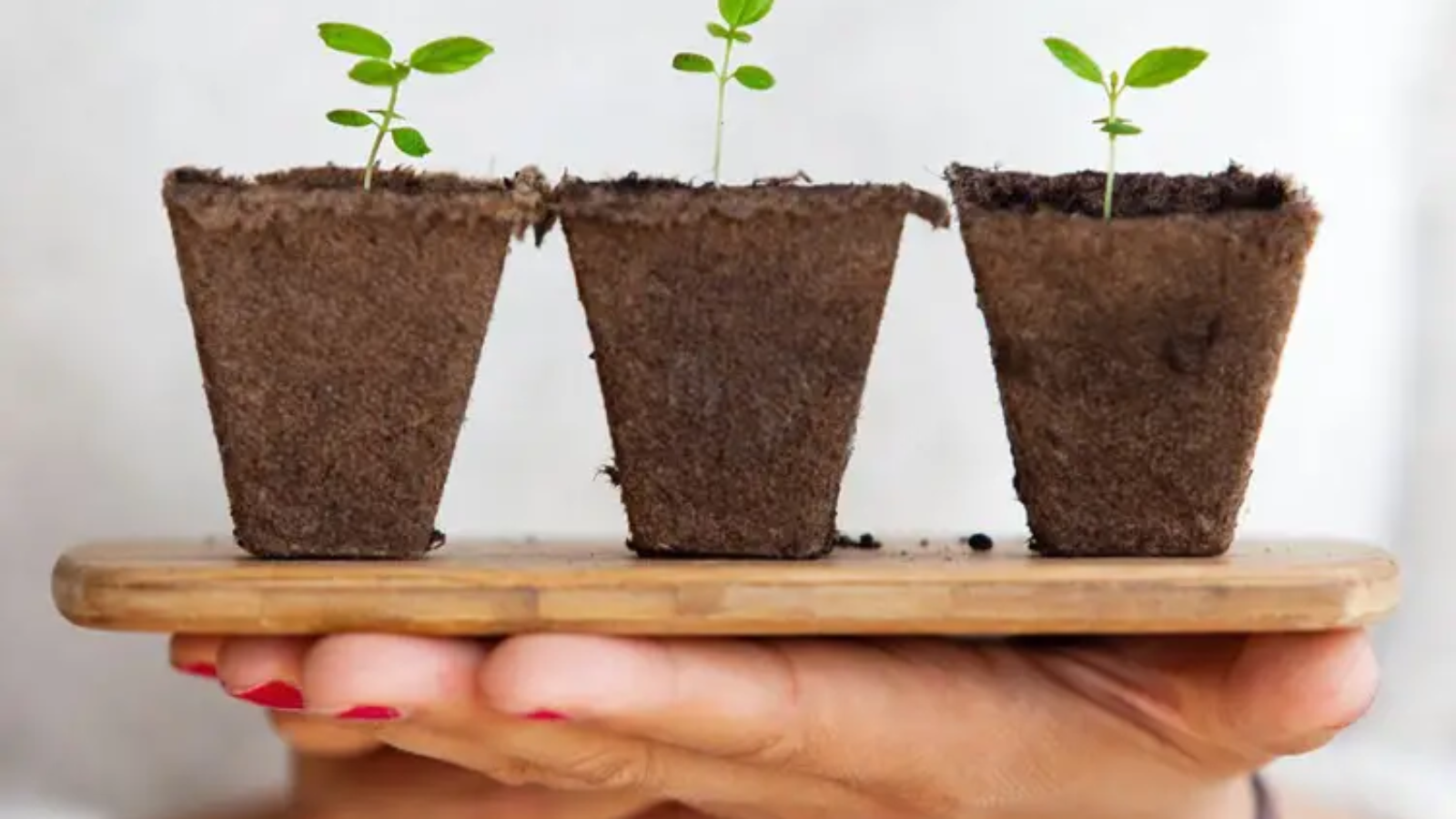 Eco-friendly-packaging-2.jpg