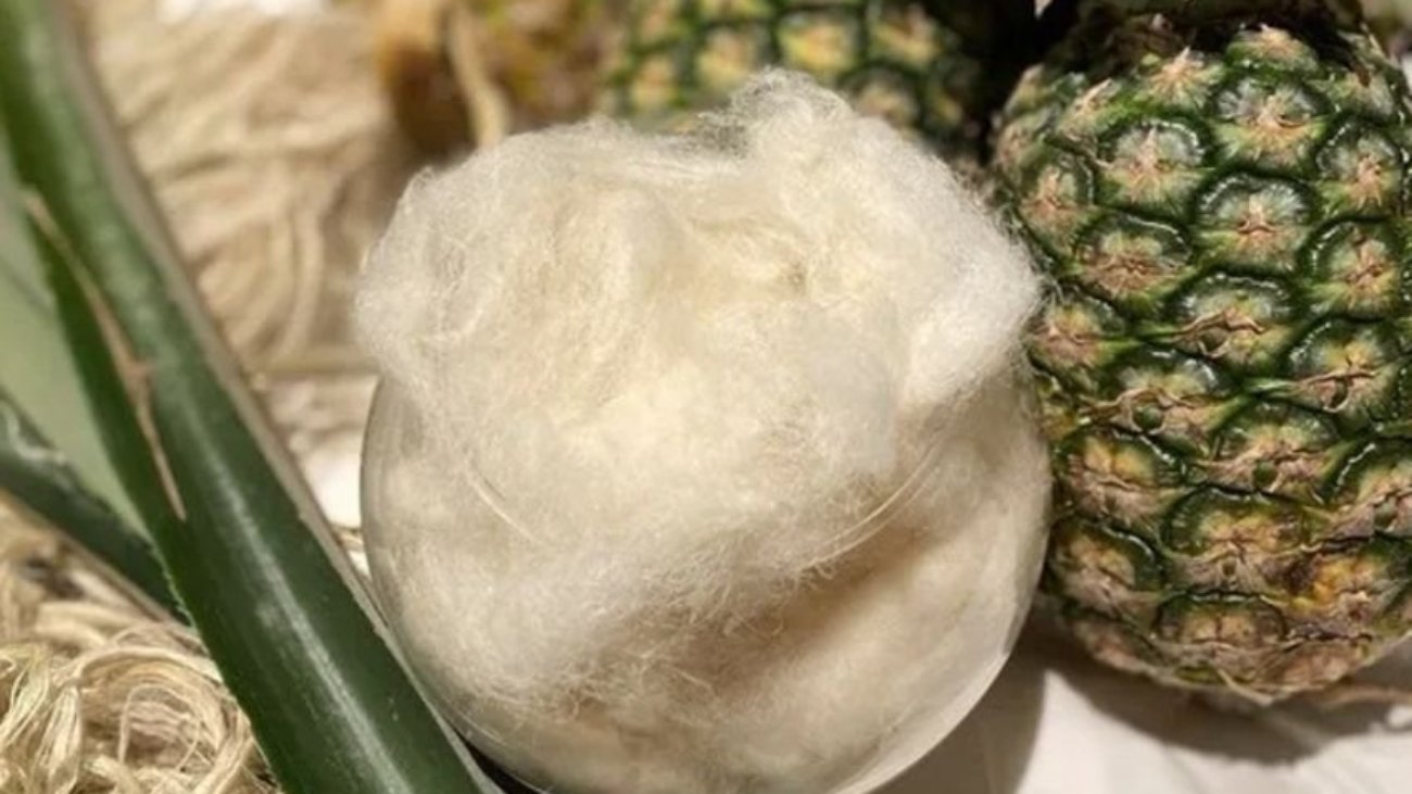 Pineapple-fibers-canva