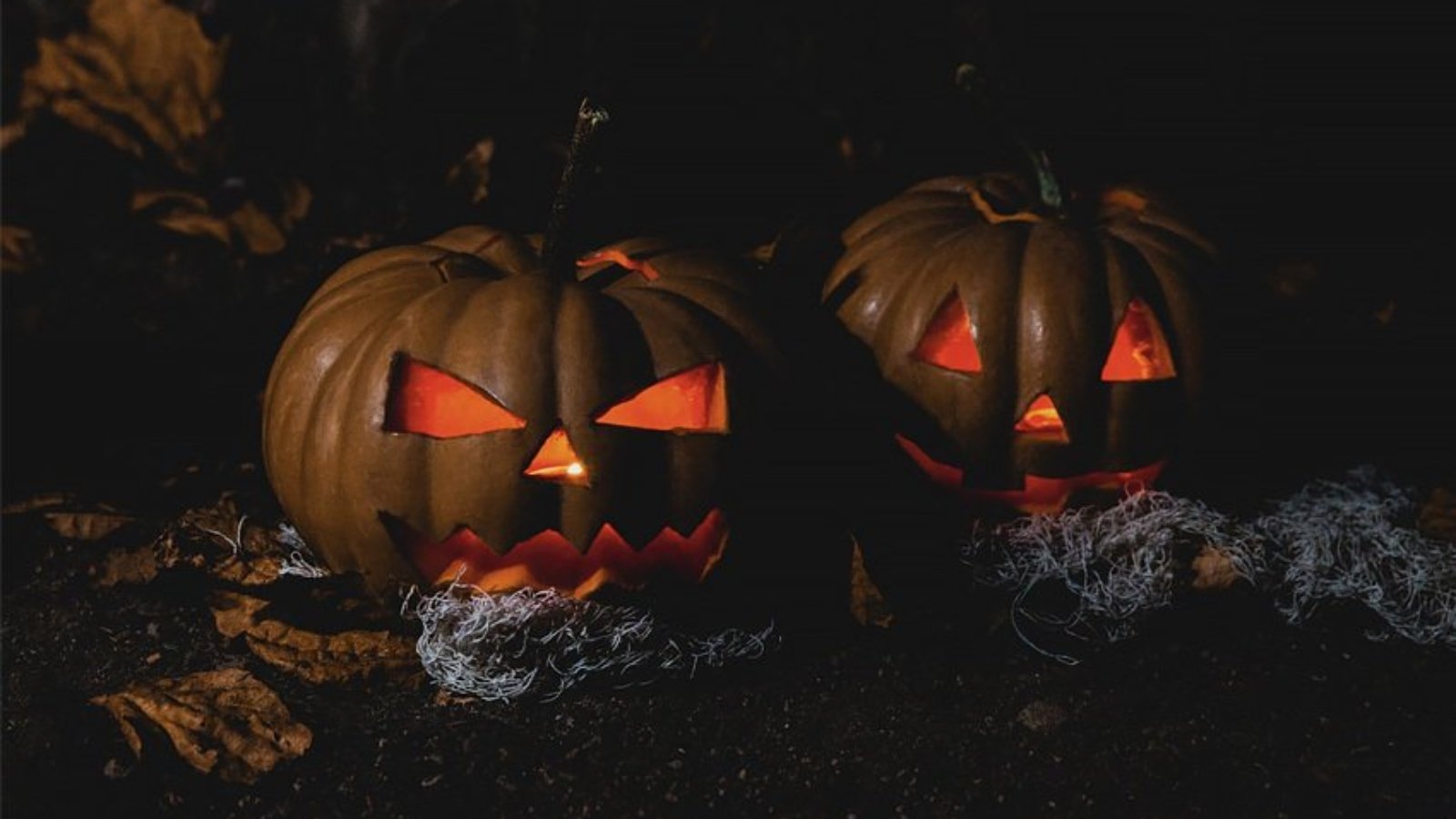 halloween-cover